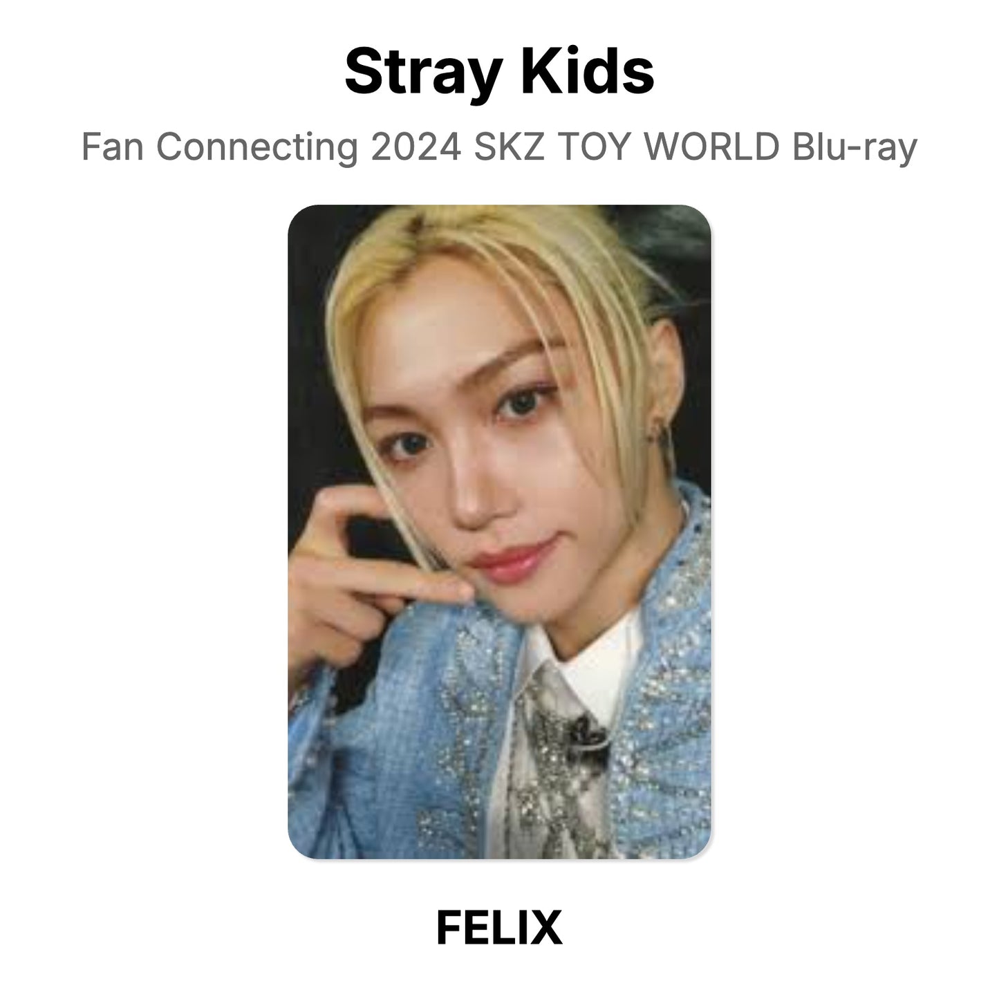 Stray Kids Fan Connecting 2024 SKZ TOY WORLD Blu-ray Official Photocard