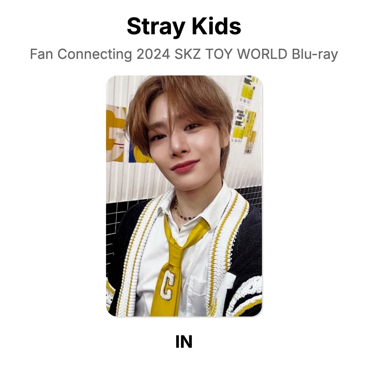 Stray Kids Fan Connecting 2024 SKZ TOY WORLD Blu-ray Official Photocard