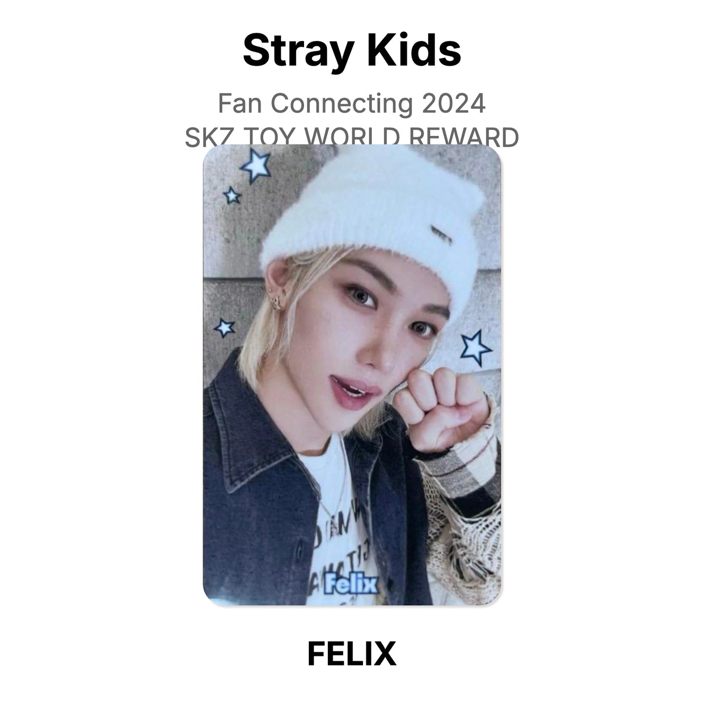 Stray Kids Fan Connecting 2024 SKZ TOY WORLD REWARD photocard oficial