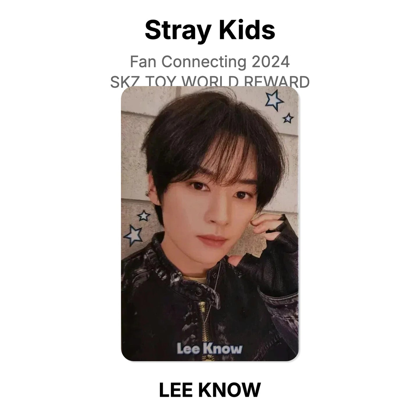 Stray Kids Fan Connecting 2024 SKZ TOY WORLD REWARD photocard oficial
