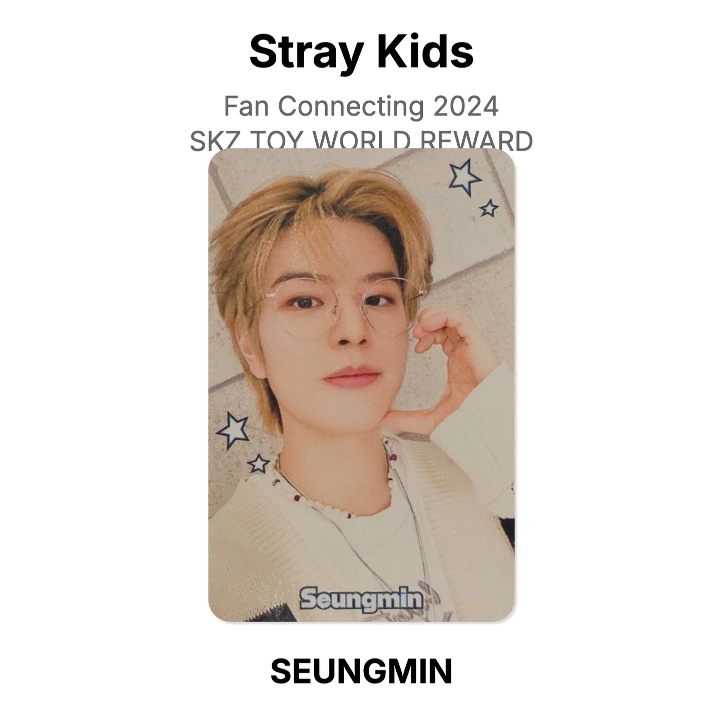 Stray Kids Fan Connecting 2024 SKZ TOY WORLD REWARD photocard oficial