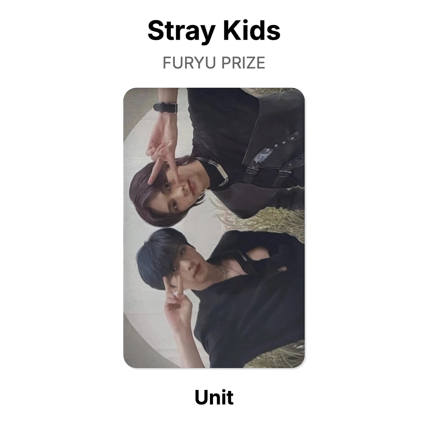Stray Kids FURYU PRIZE Official Photocard