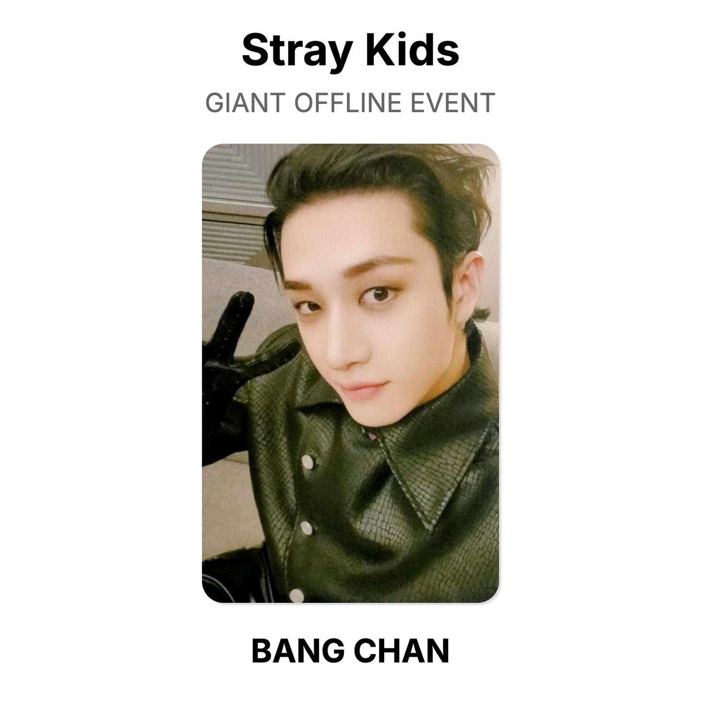 Stray Kids GIANT OFFLINE EVENT Official Photocard