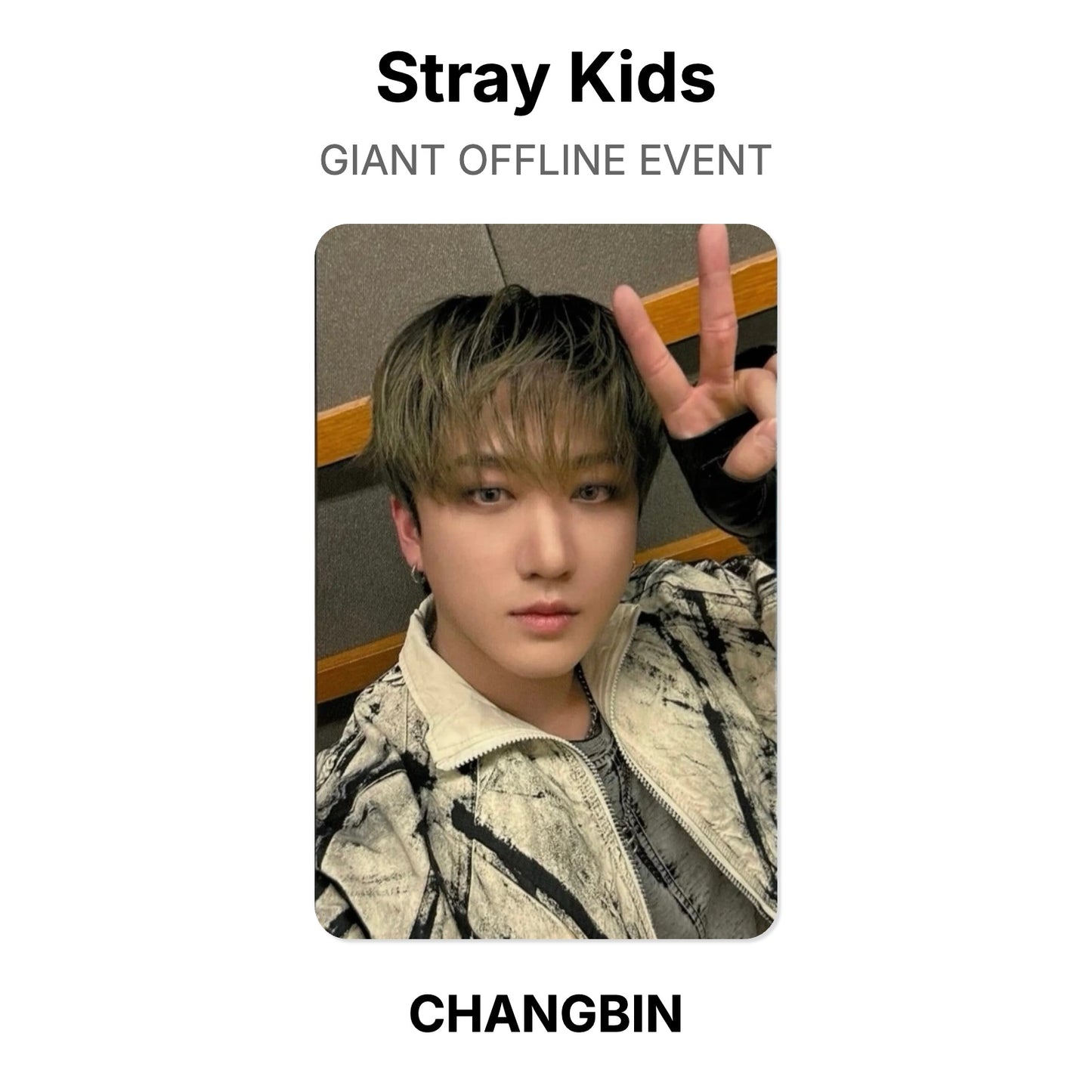 Stray Kids GIANT OFFLINE EVENT Official Photocard