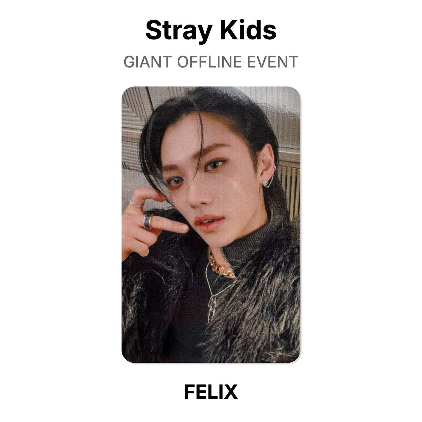 Stray Kids GIANT OFFLINE EVENT Official Photocard