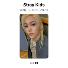 FELIX 02