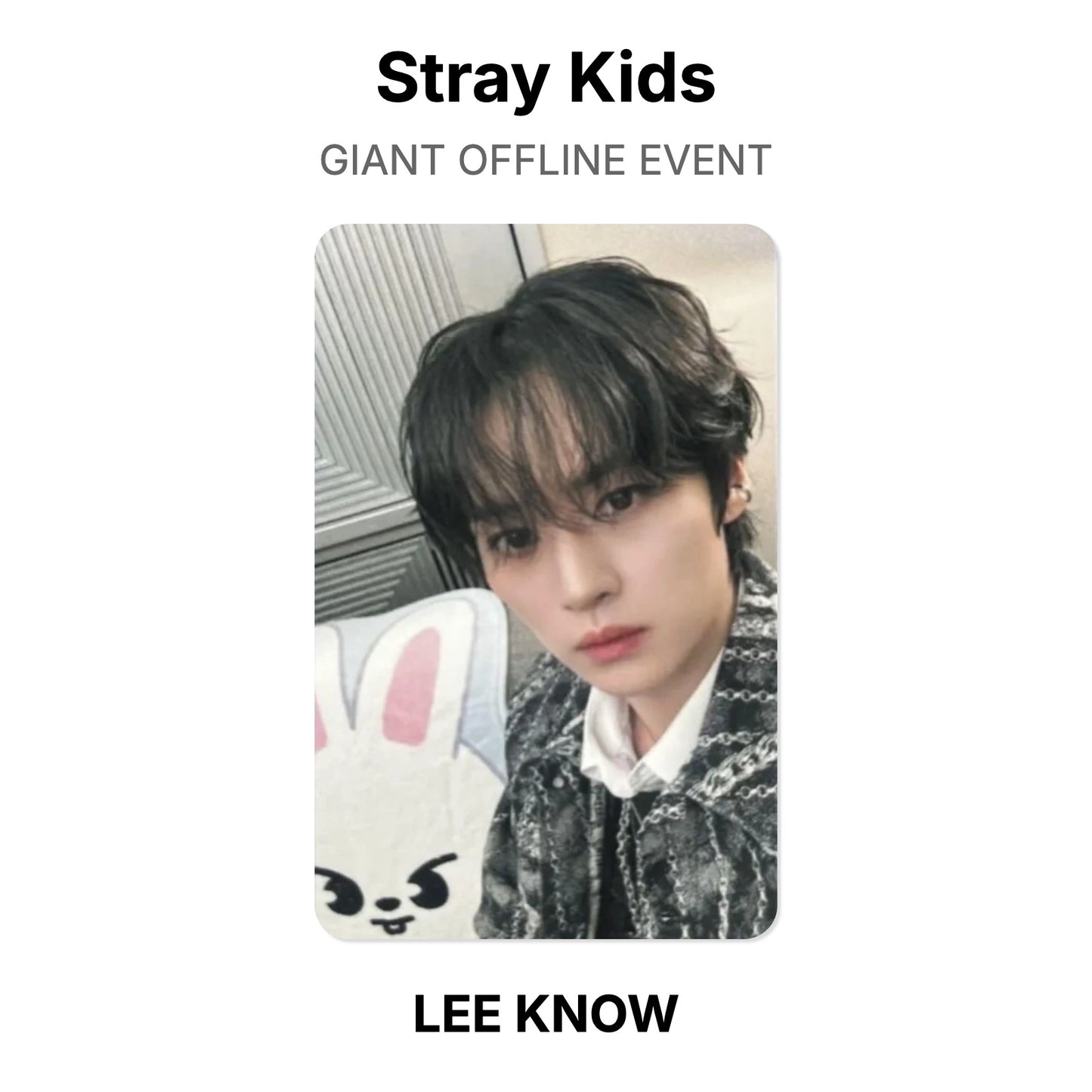 Stray Kids GIANT OFFLINE EVENT Official Photocard