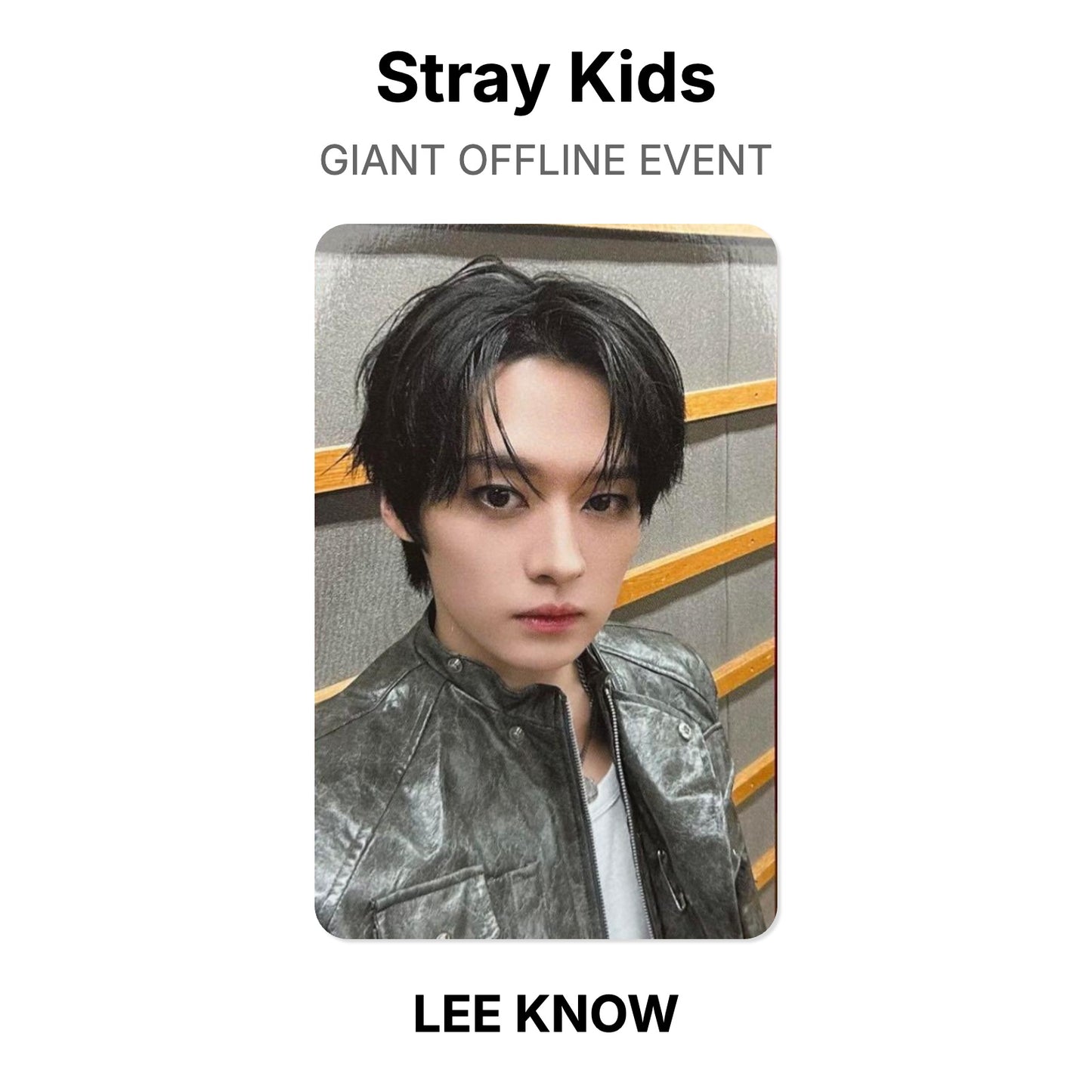 Stray Kids GIANT OFFLINE EVENT Official Photocard