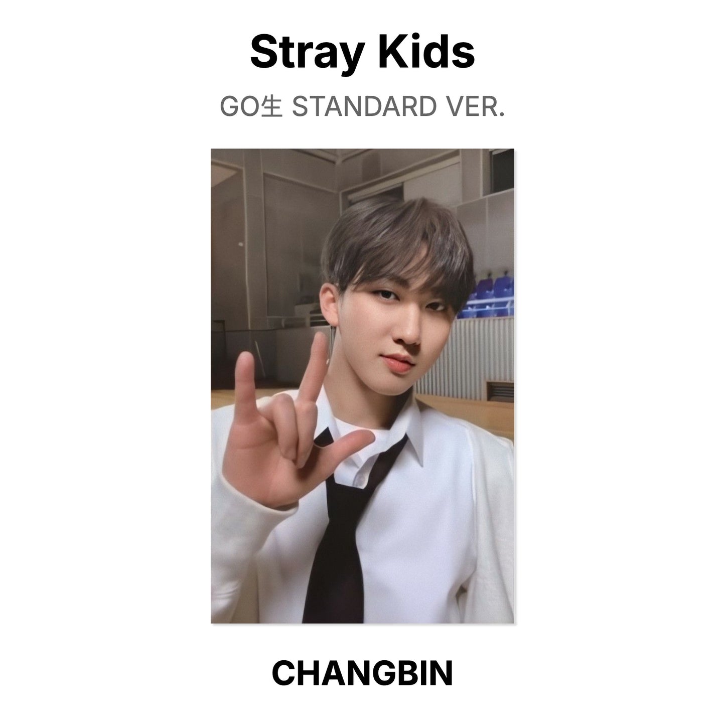 Stray Kids GO生 STANDARD VER. photocard ufficiale