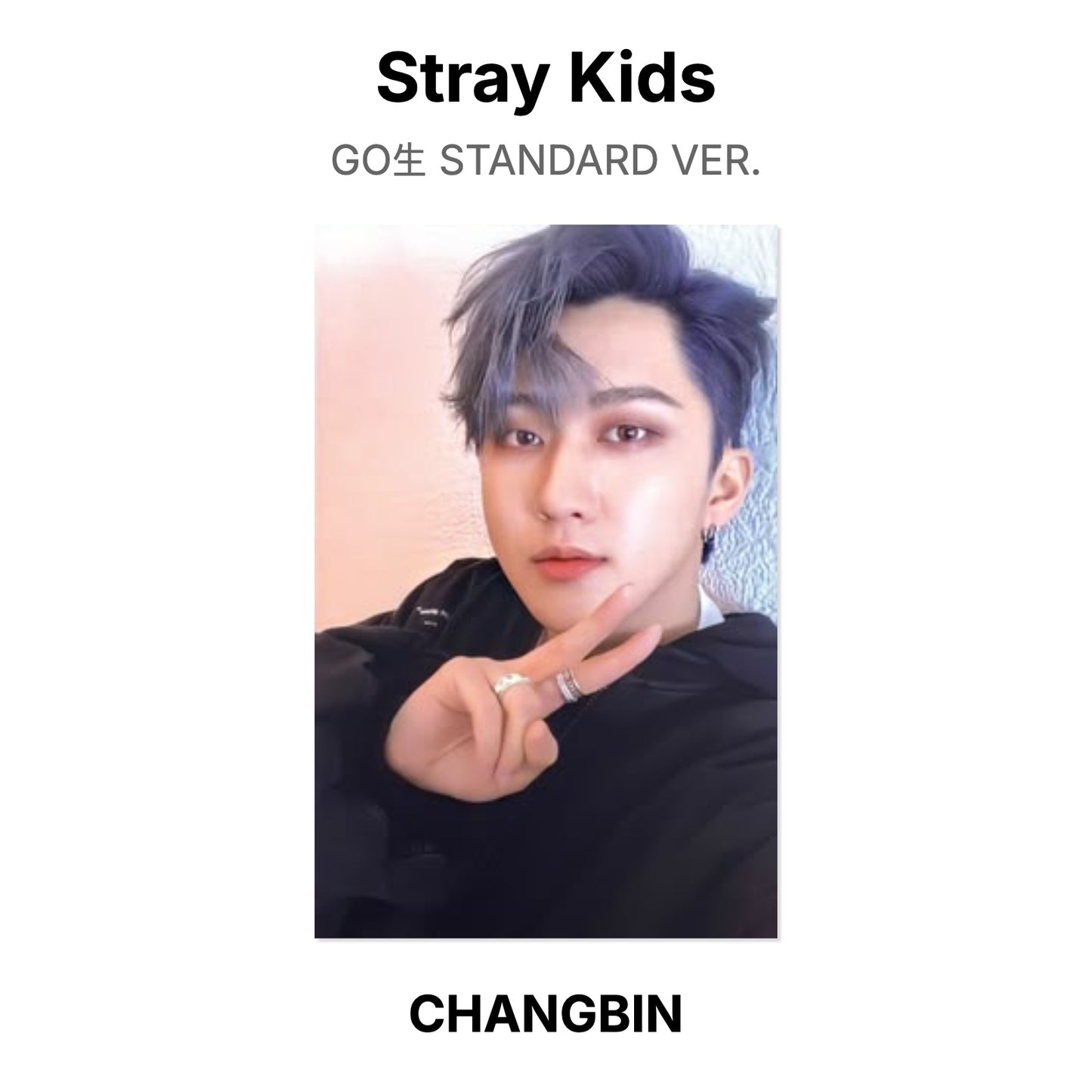 Stray Kids GO生 STANDARD VER. photocard ufficiale