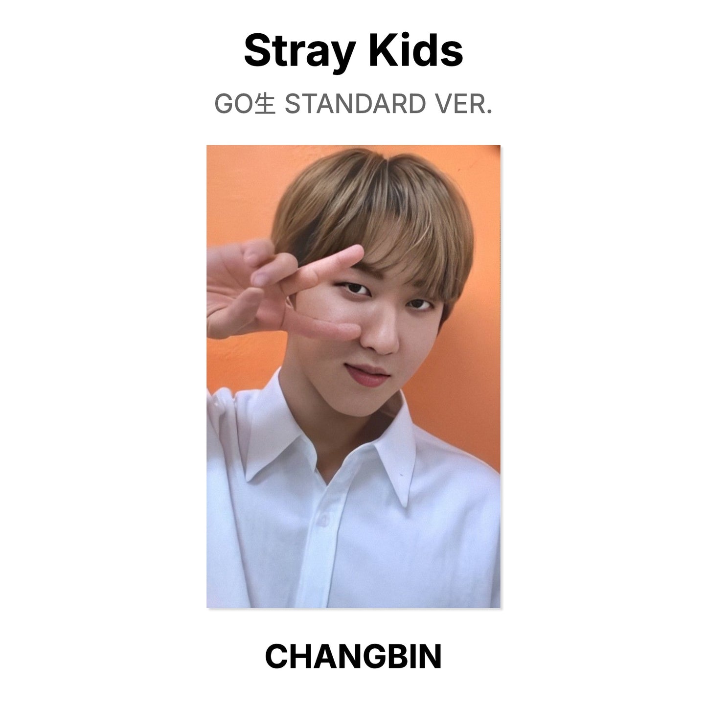 Stray Kids GO生 STANDARD VER. photocard ufficiale