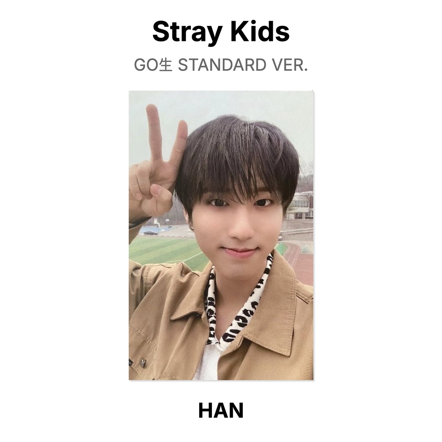 Stray Kids GO生 STANDARD VER. photocard ufficiale