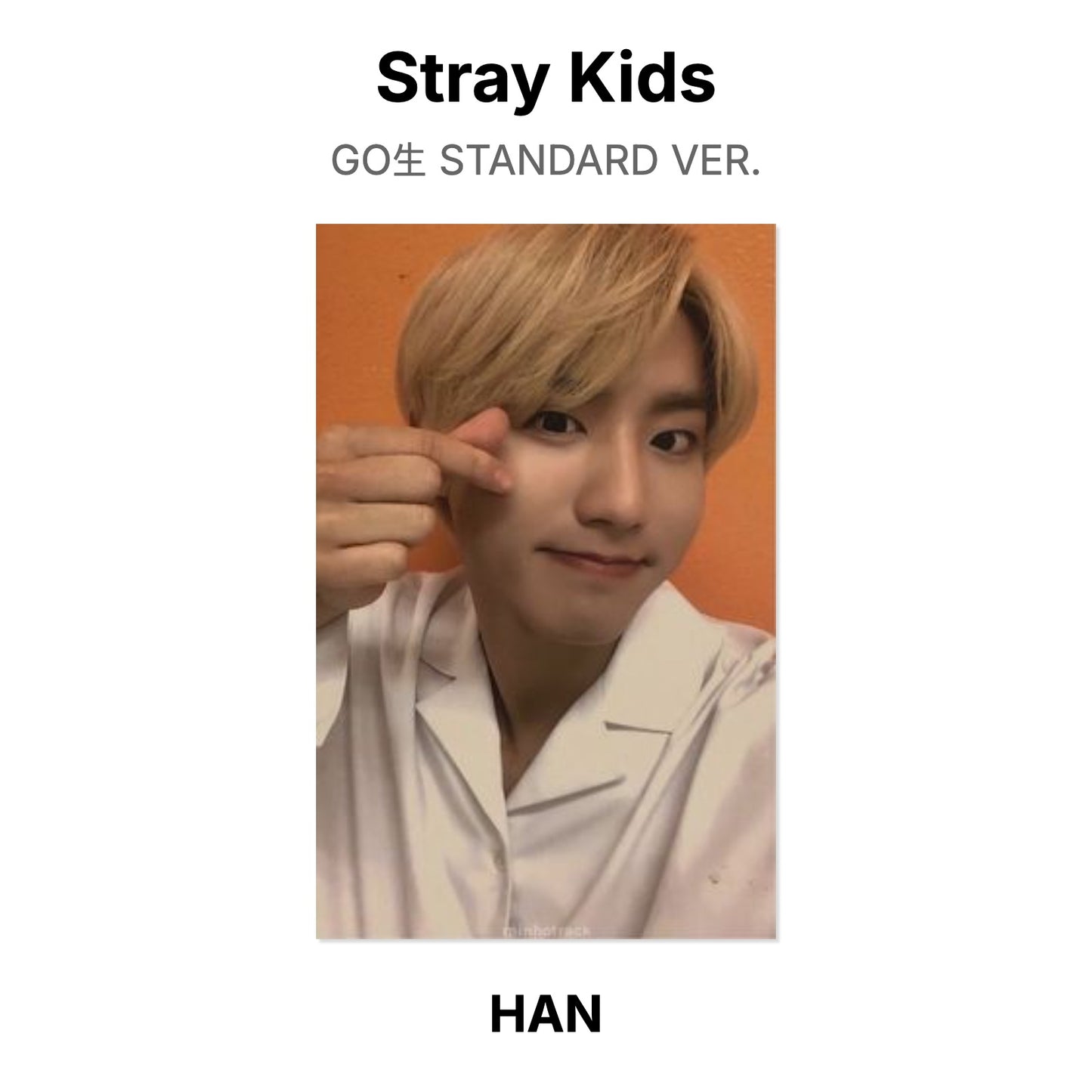 Stray Kids GO生 STANDARD VER. photocard ufficiale