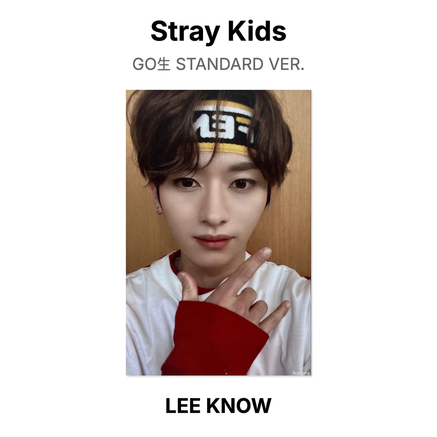 Stray Kids GO生 STANDARD VER. photocard ufficiale
