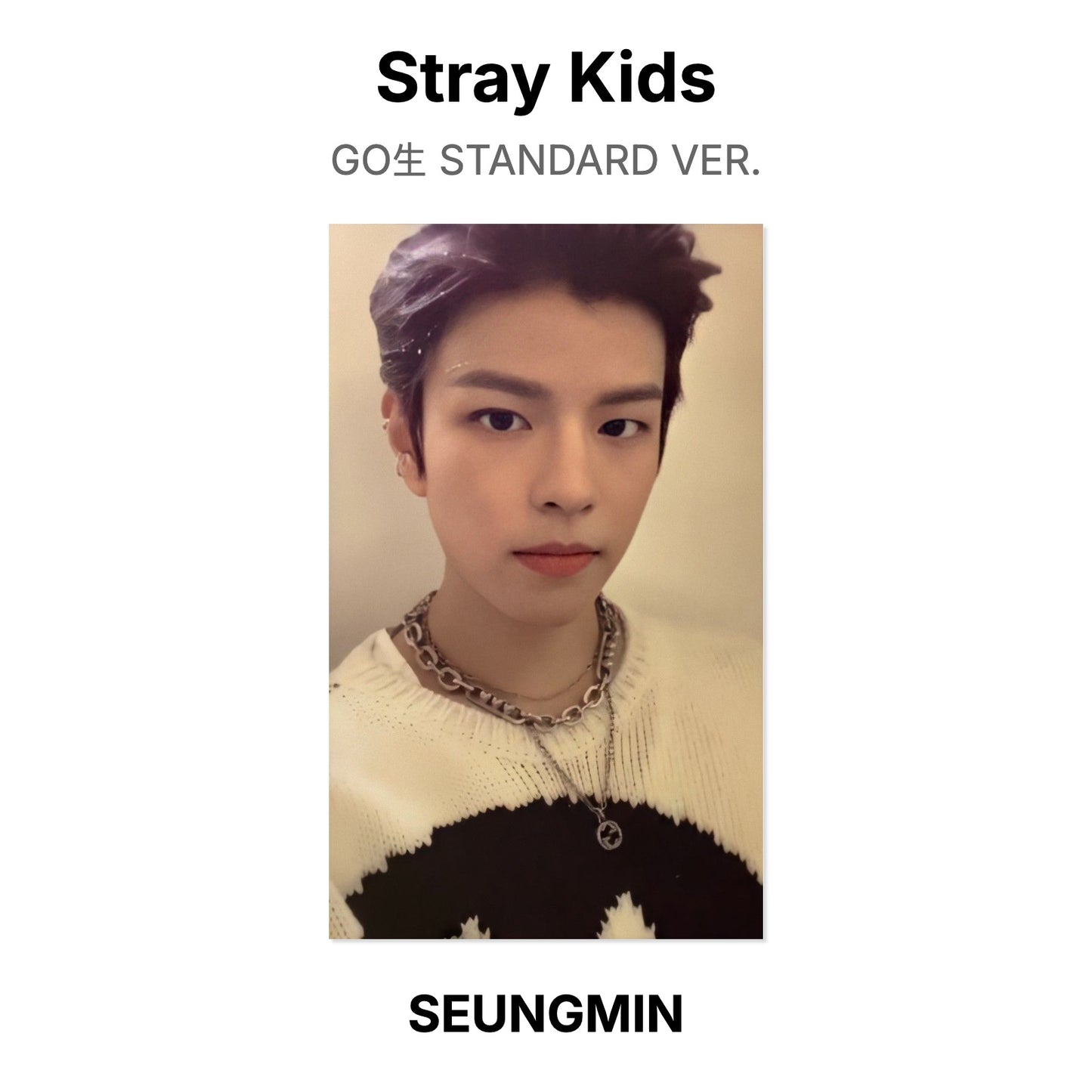 Stray Kids GO生 STANDARD VER. photocard ufficiale