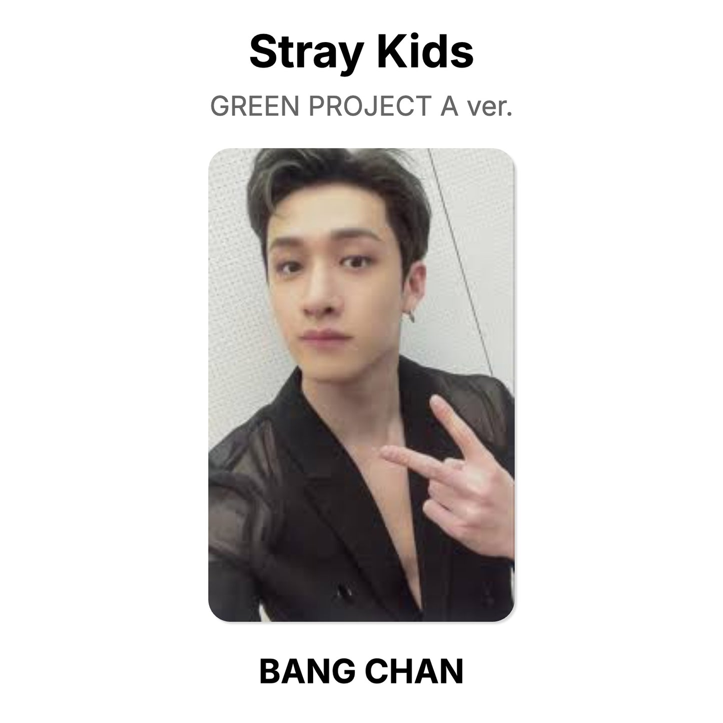 Stray Kids GREEN PROJECT A ver. Official Photocard