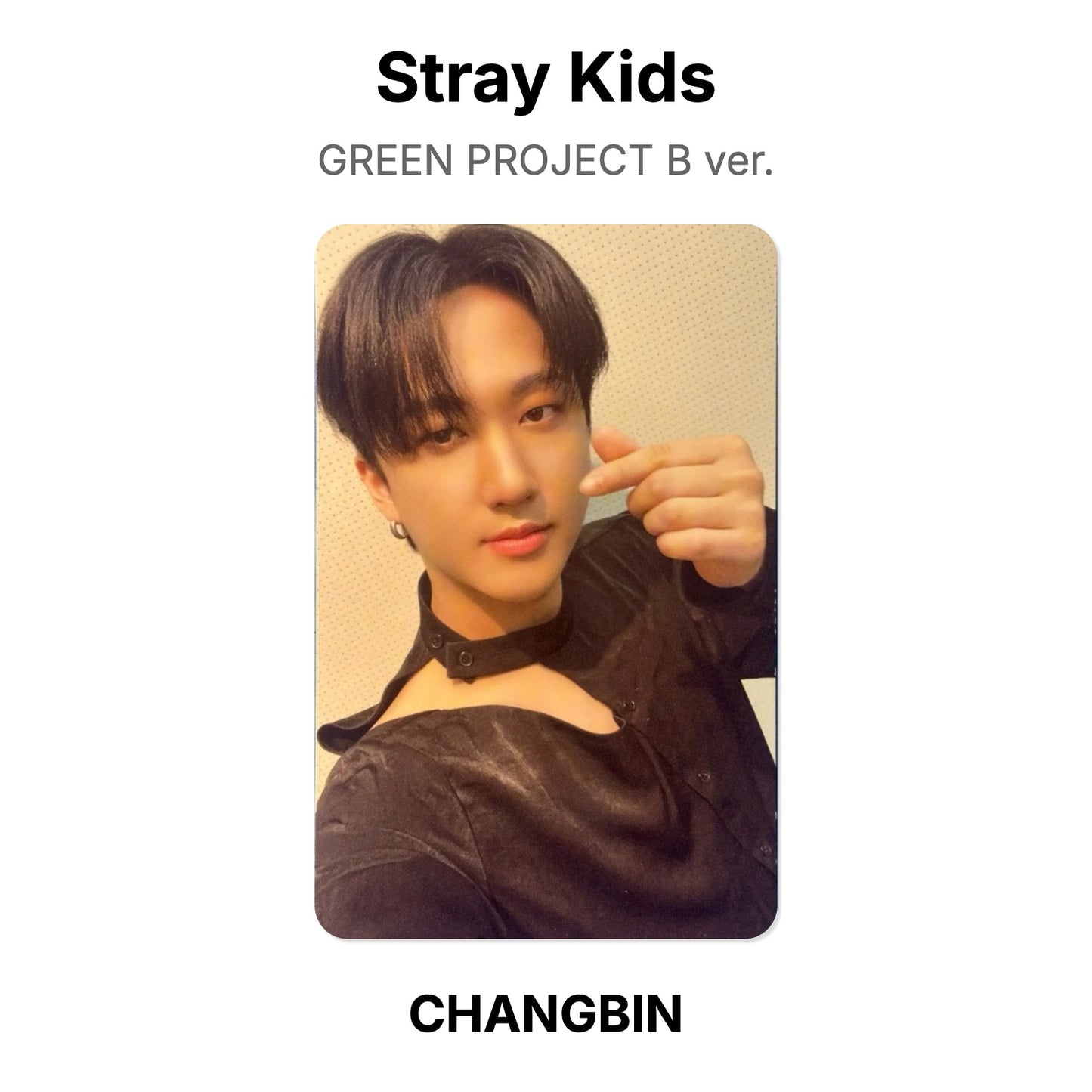 Stray Kids GREEN PROJECT B ver. Official Photocard