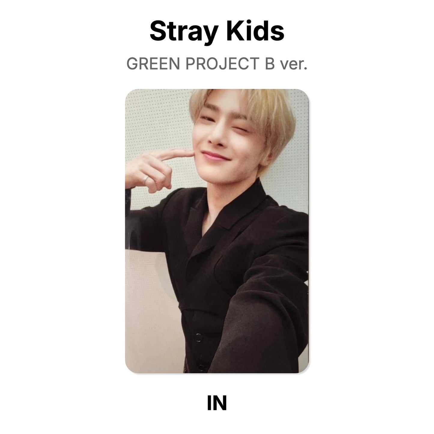 Stray Kids GREEN PROJECT B ver. Official Photocard