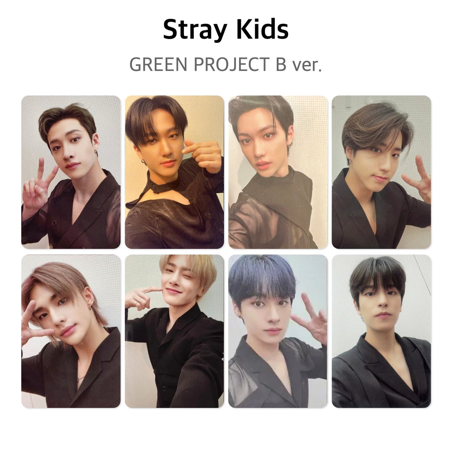 Stray Kids GREEN PROJECT B ver. Official Photocard