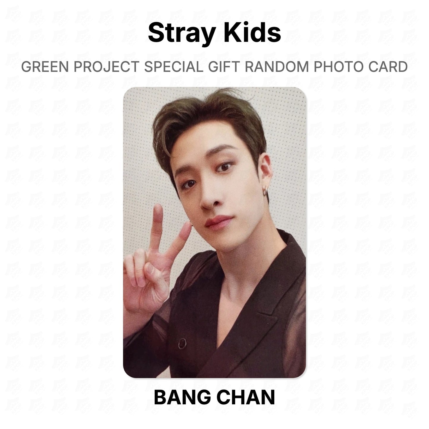 Stray Kids GREEN PROJECT SPECIAL GIFT RANDOM PHOTO CARD Official Photocard