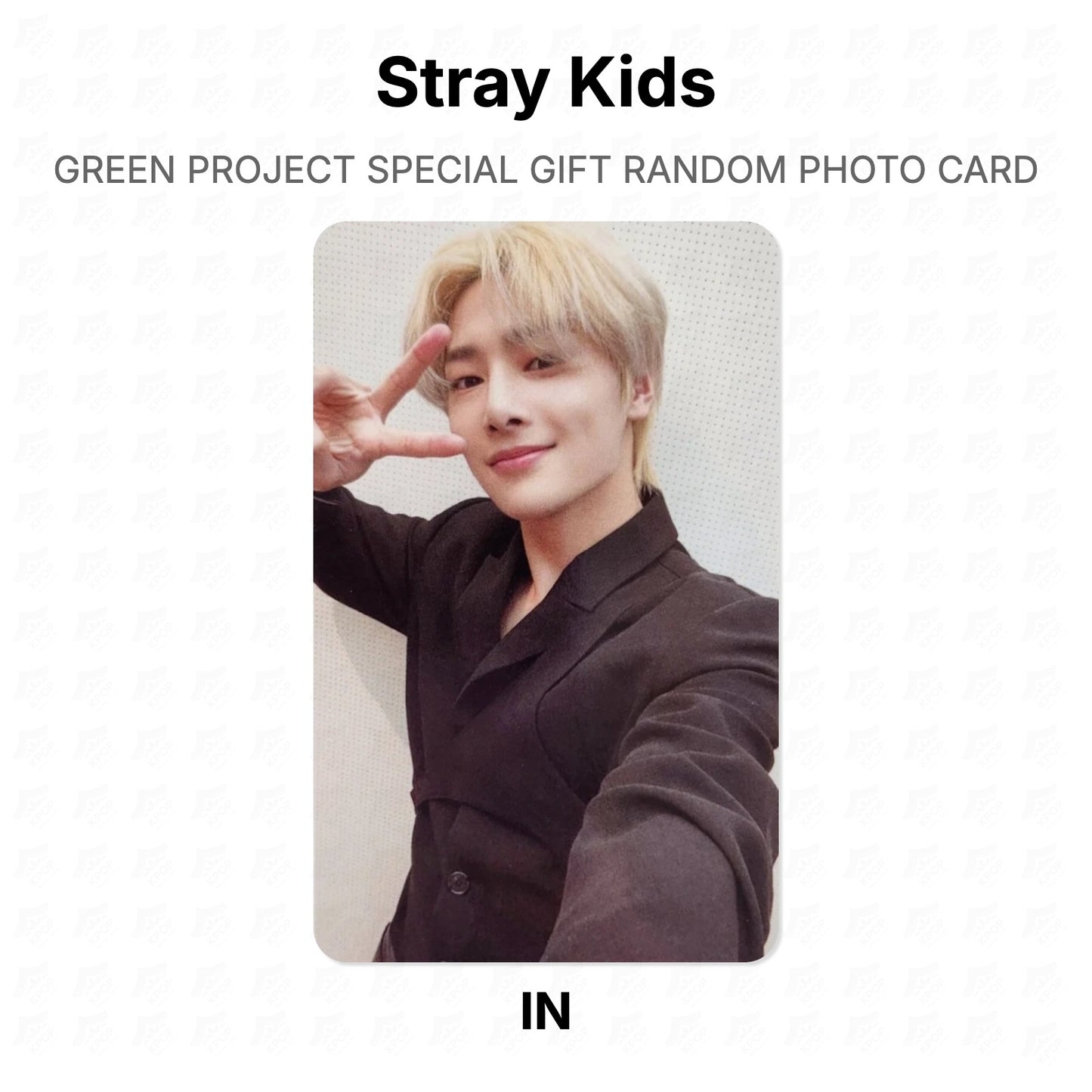 Stray Kids GREEN PROJECT SPECIAL GIFT RANDOM PHOTO CARD Official Photocard