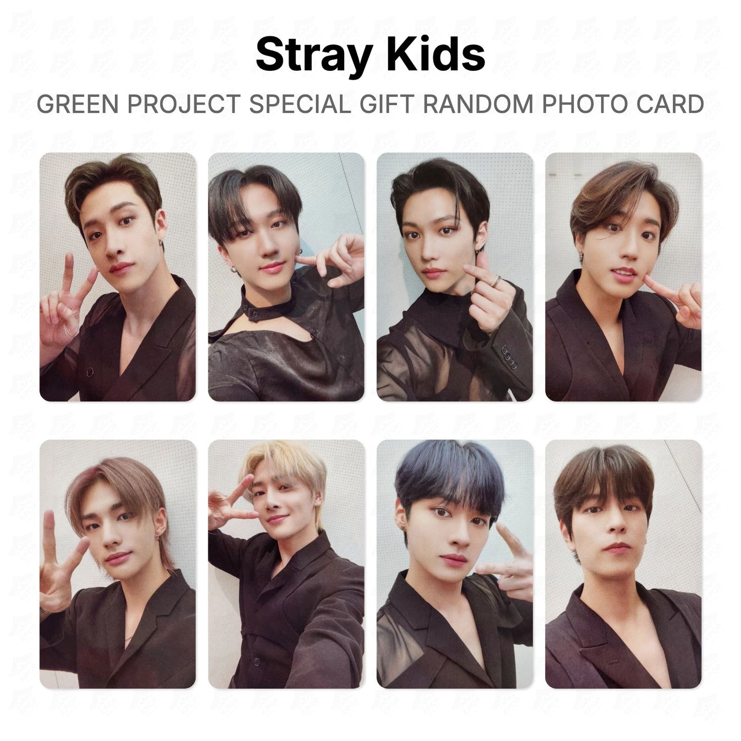 Stray Kids GREEN PROJECT SPECIAL GIFT RANDOM PHOTO CARD Official Photocard