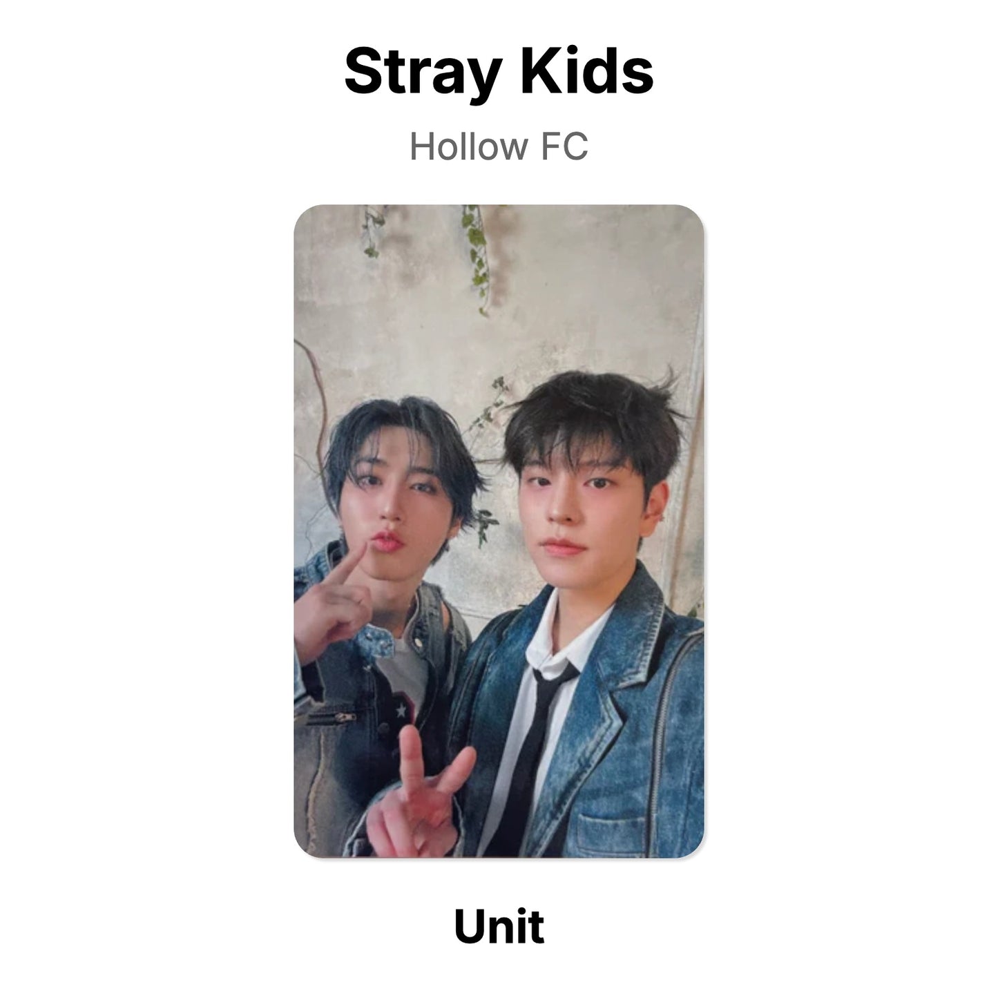 Stray Kids Hollow FC โฟโต้การ์ดของแท้