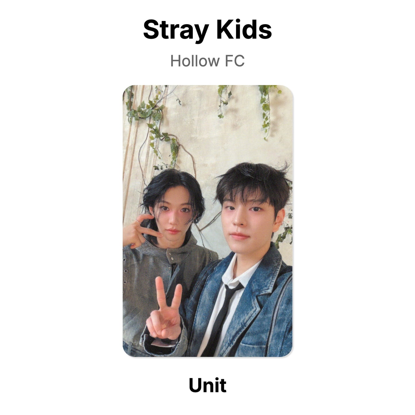 Stray Kids Hollow FC โฟโต้การ์ดของแท้