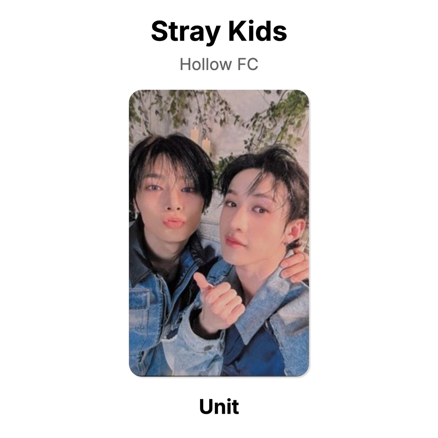 Stray Kids Hollow FC โฟโต้การ์ดของแท้