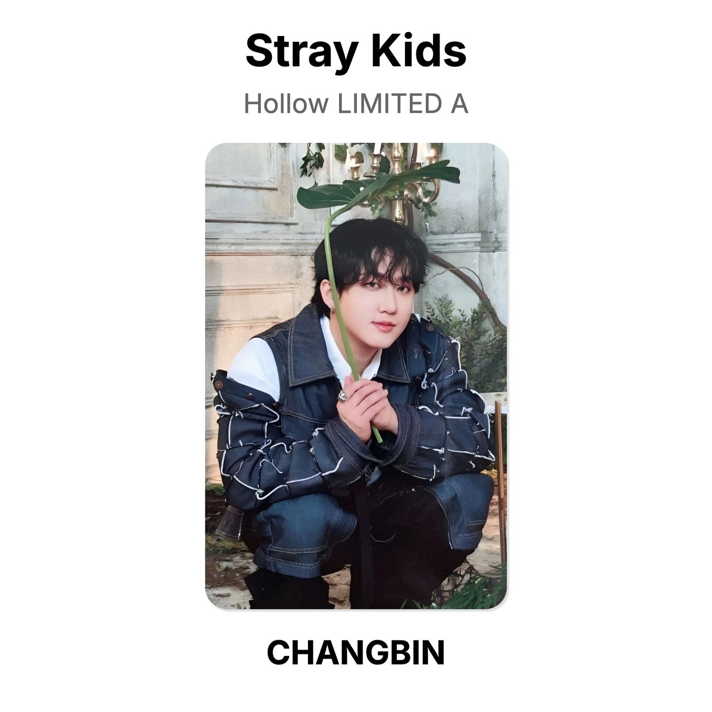 Stray Kids Hollow LIMITED A Official Photocard