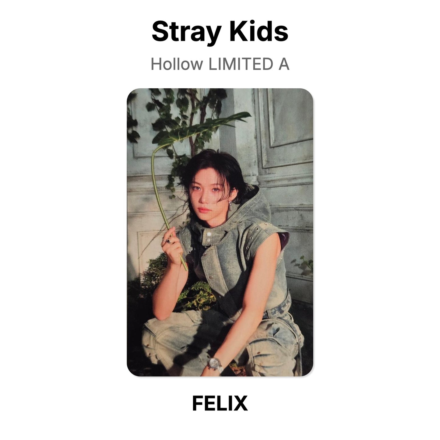 Stray Kids Hollow LIMITED A Official Photocard