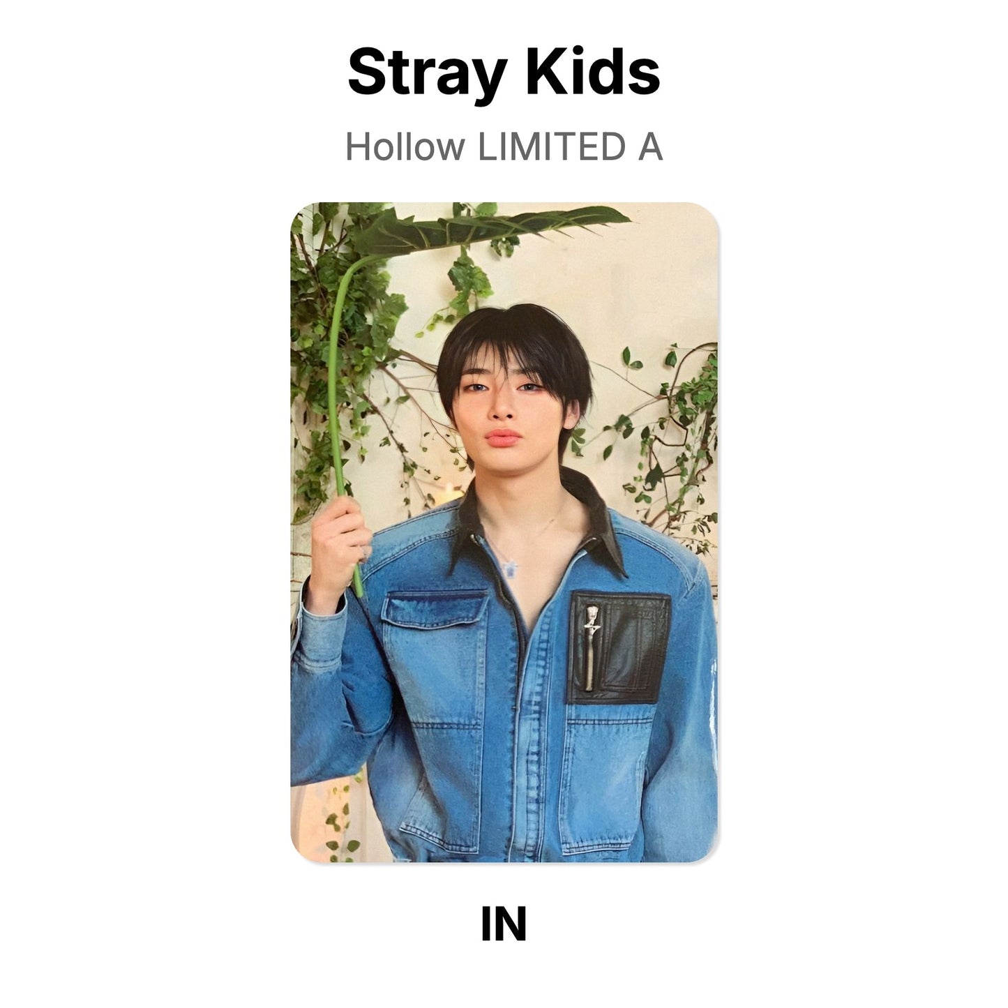 Stray Kids Hollow LIMITED A Official Photocard