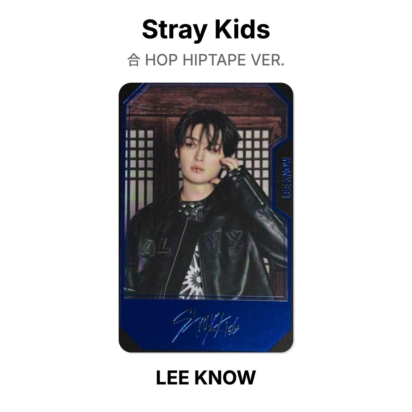 Stray Kids 合 HOP HIPTAPE VER. Offizielle Photocard