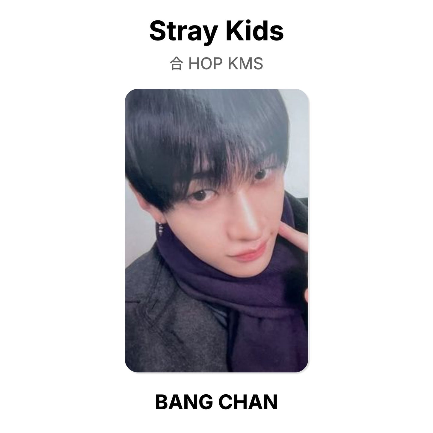 Stray Kids 合 HOP KMS Official Photocard