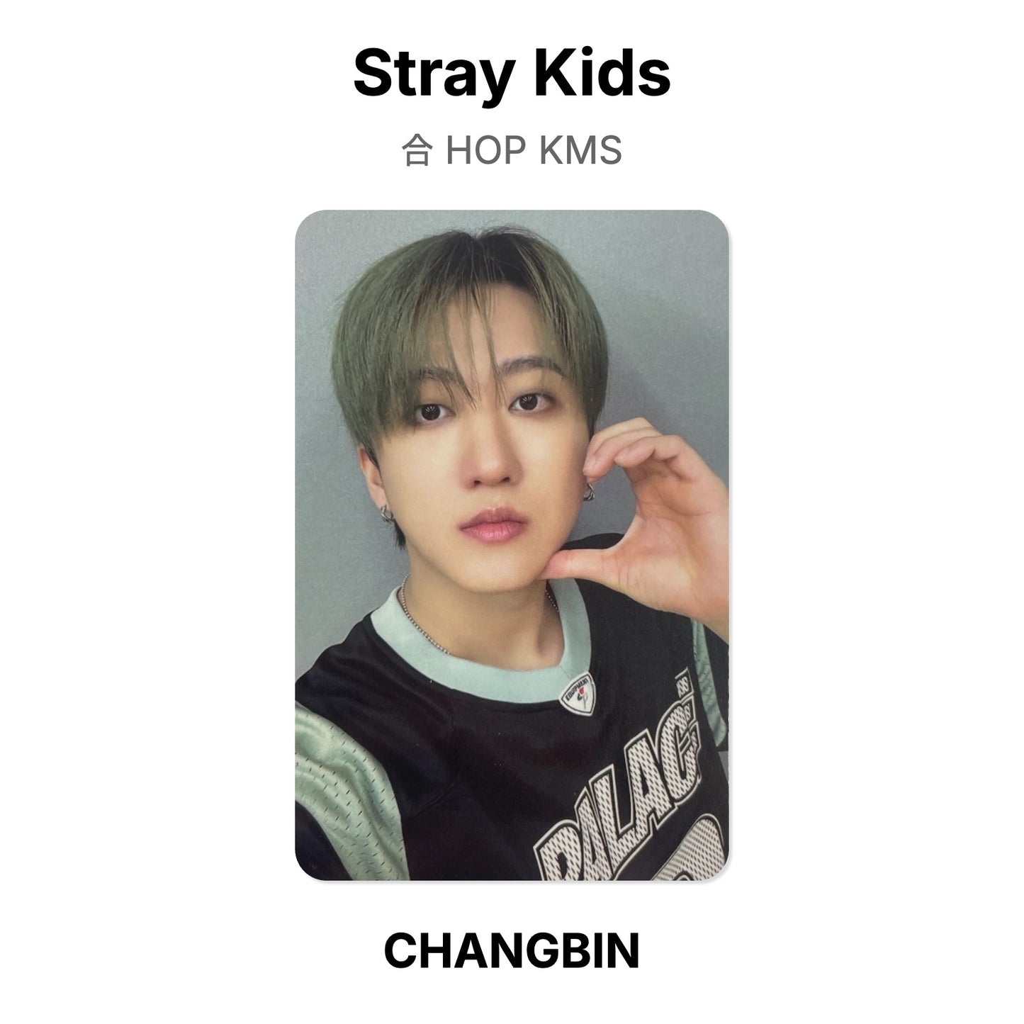 Stray Kids 合 HOP KMS Official Photocard