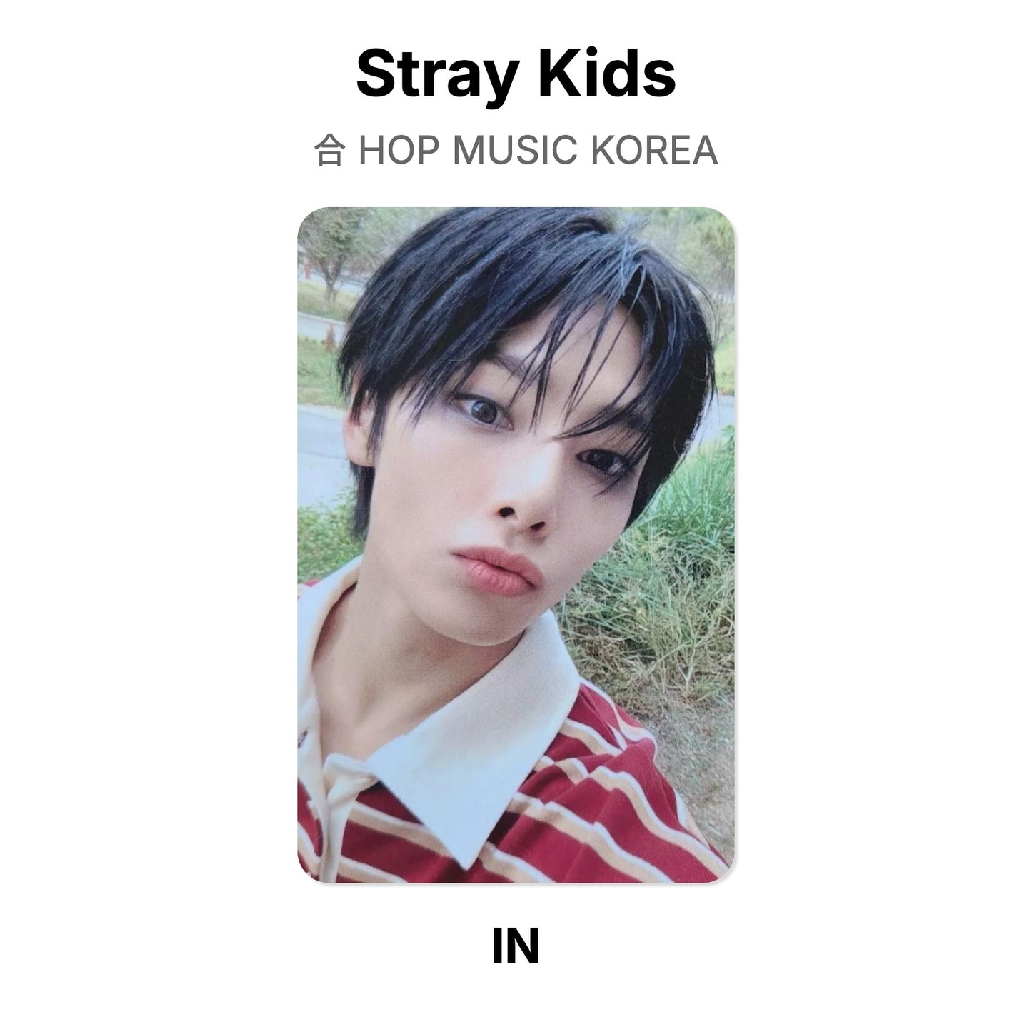 Stray Kids 合 HOP MUSIC KOREA Official Photocard
