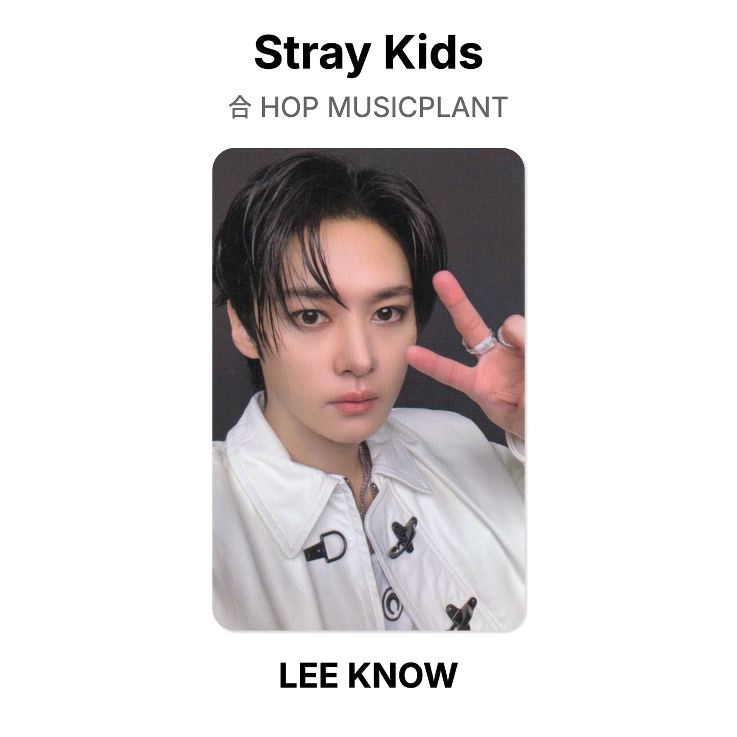 Stray Kids 合 HOP MUSICPLANT Official Photocard