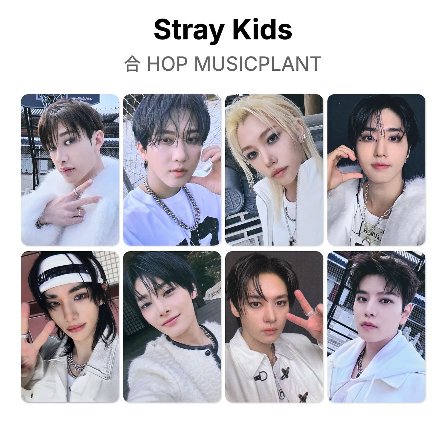 Stray Kids 合 HOP MUSICPLANT Official Photocard