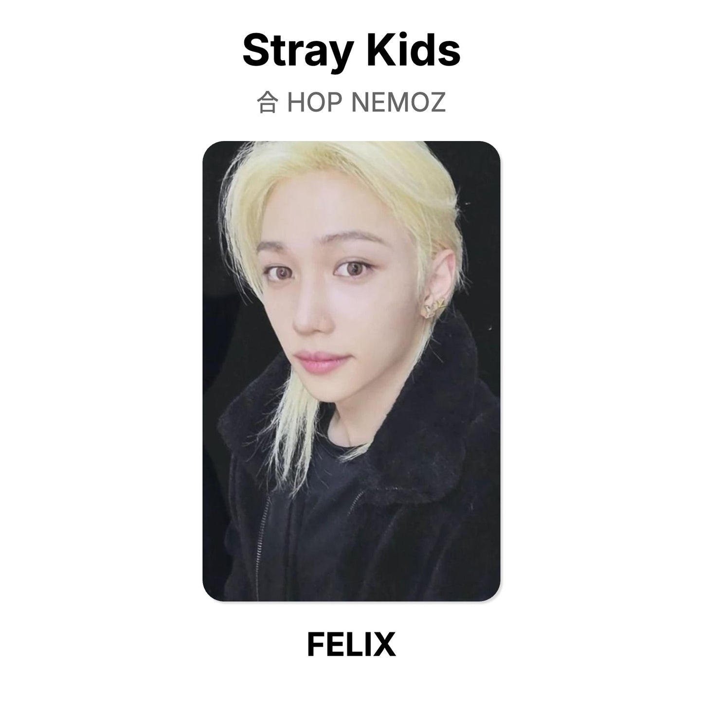 Stray Kids 合 HOP NEMOZ photocard resmi