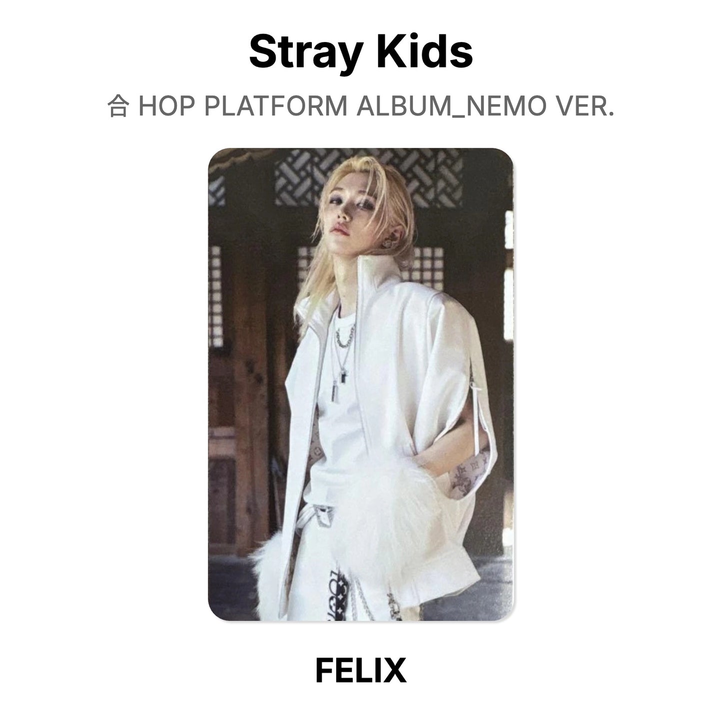 Stray Kids 合 HOP PLATFORM ALBUM_NEMO VER. Offizielle Photocard