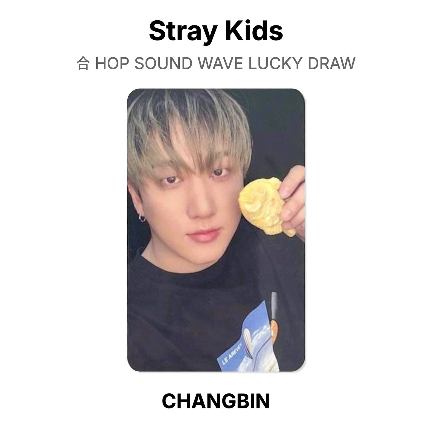 Stray Kids 合 HOP SOUND WAVE LUCKY DRAW photocard officielle