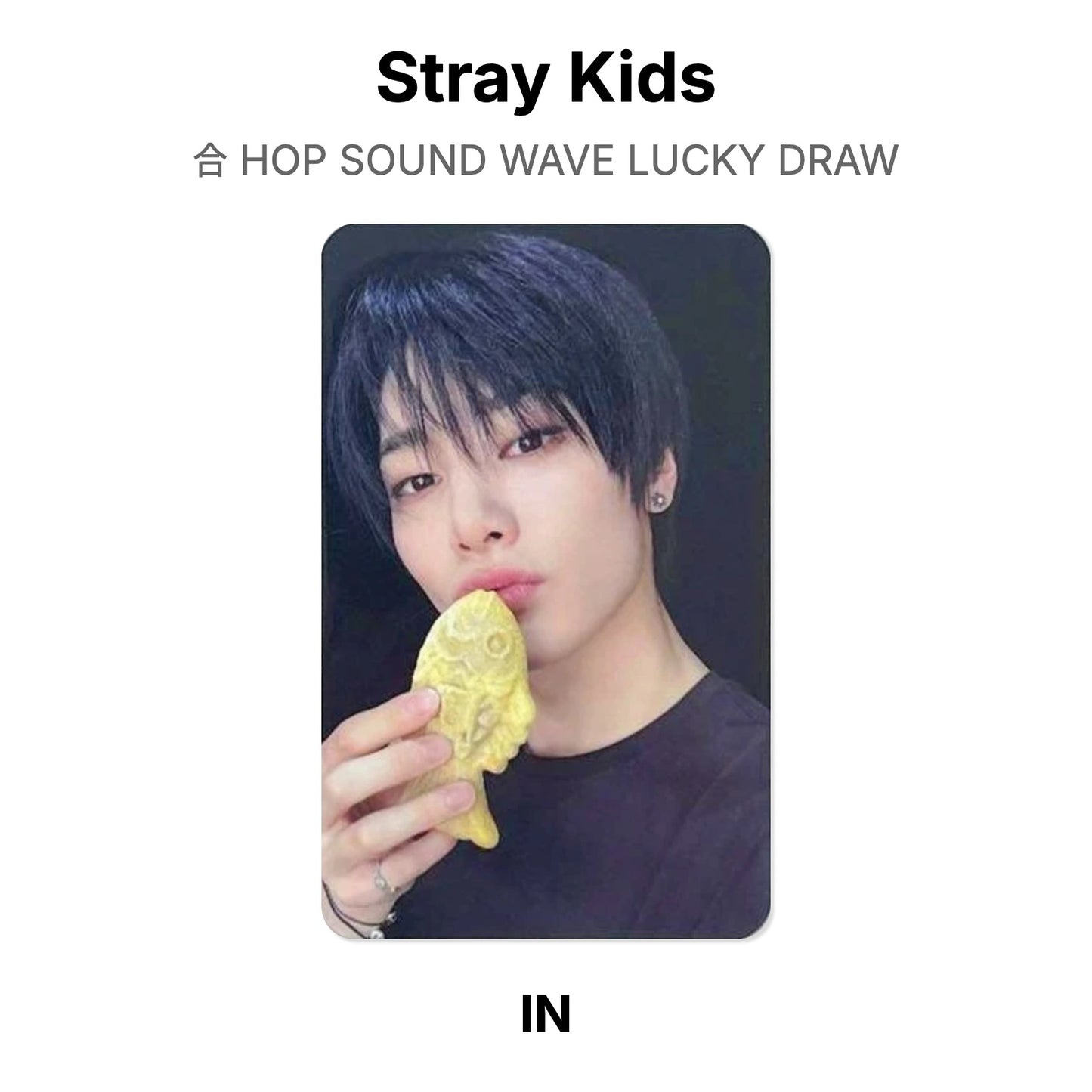 Stray Kids 合 HOP SOUND WAVE LUCKY DRAW photocard officielle