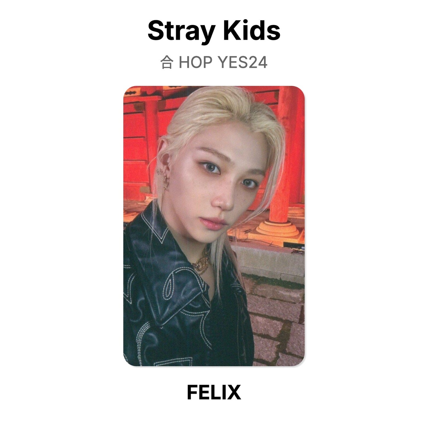 Stray Kids 合 HOP YES24 Offizielle Photocard