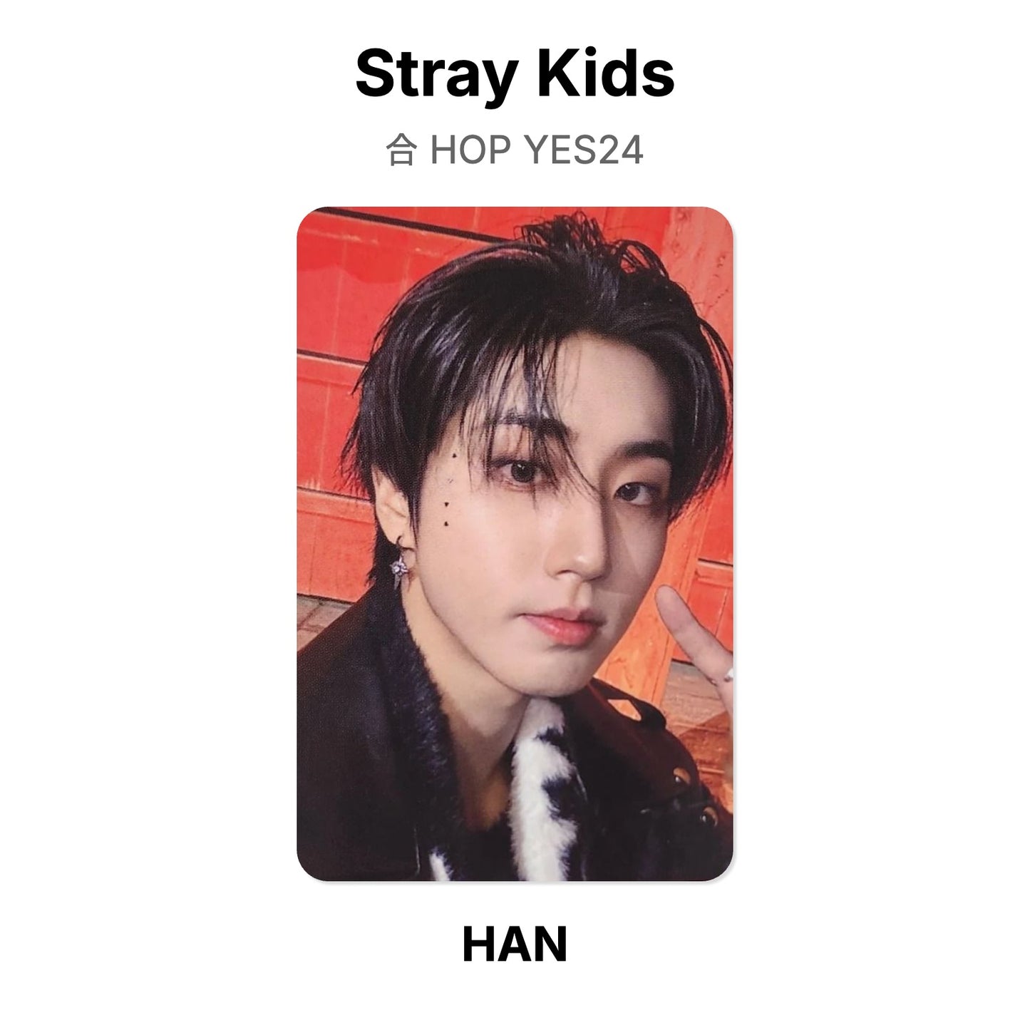 Stray Kids 合 HOP YES24 Offizielle Photocard
