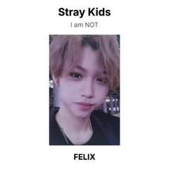 FELIX 02