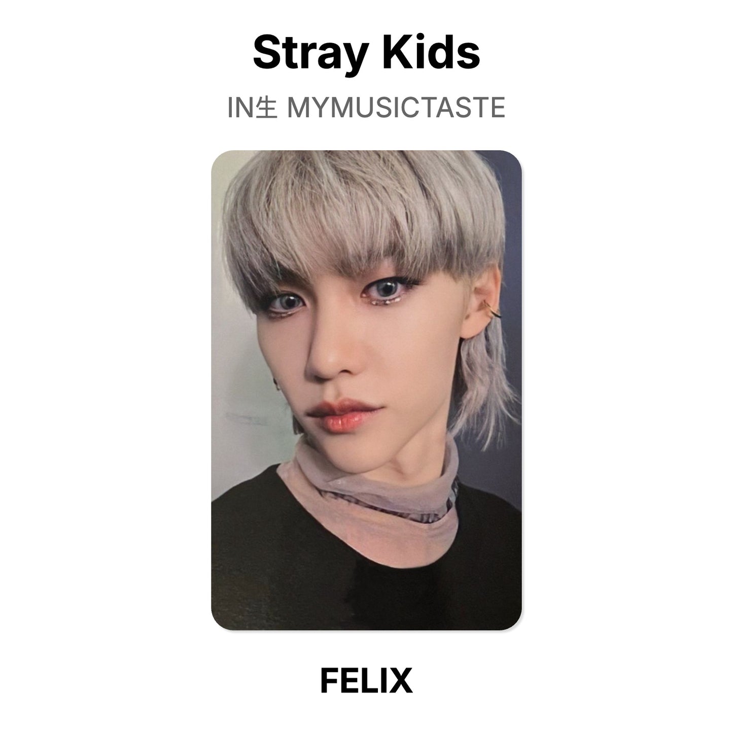 Stray Kids IN生 MYMUSICTASTE photocard oficial