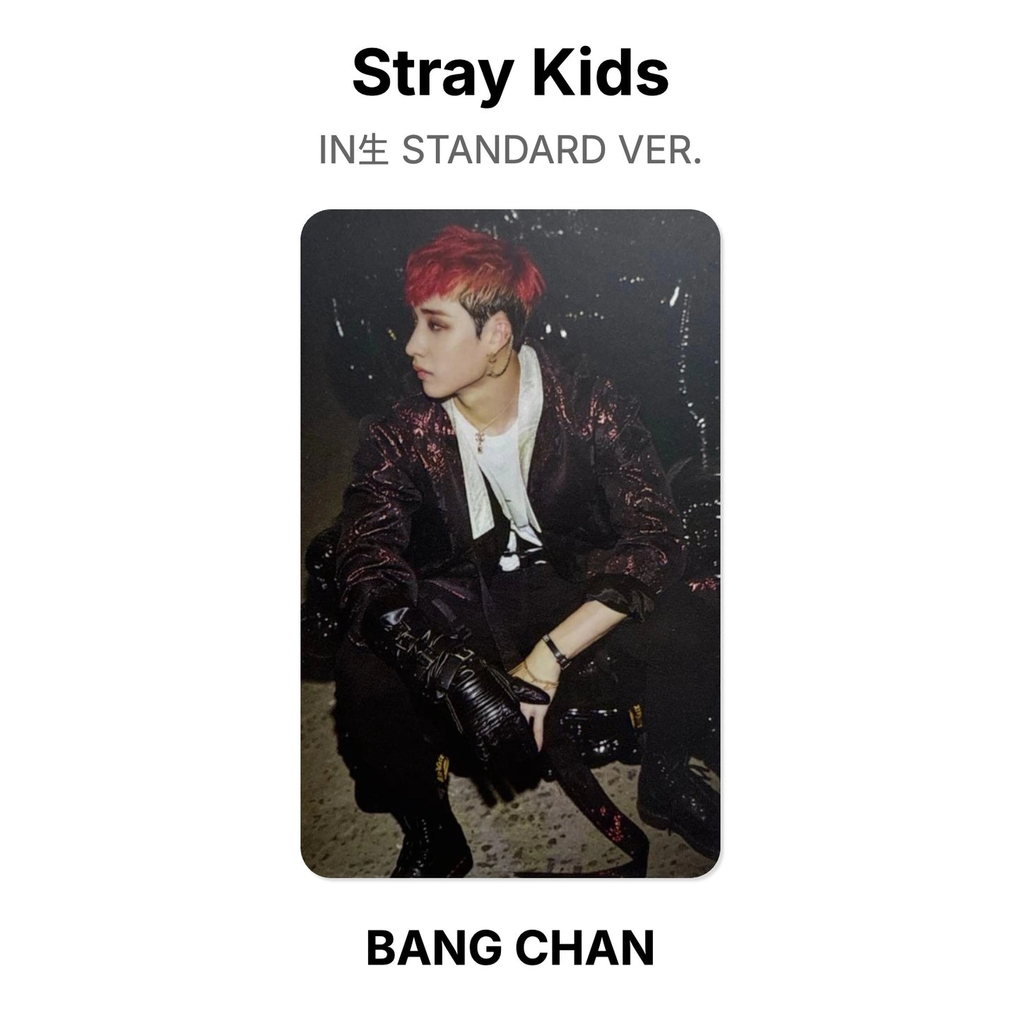 Stray Kids IN生 STANDARD VER. Official Photocard