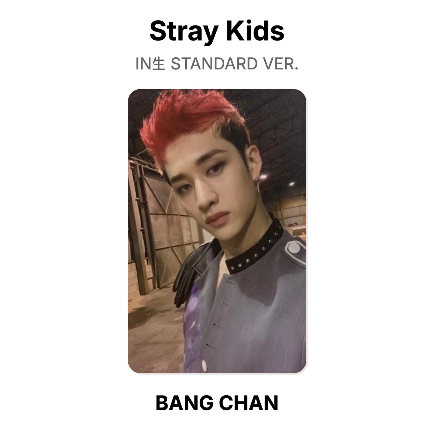 Stray Kids IN生 STANDARD VER. Official Photocard