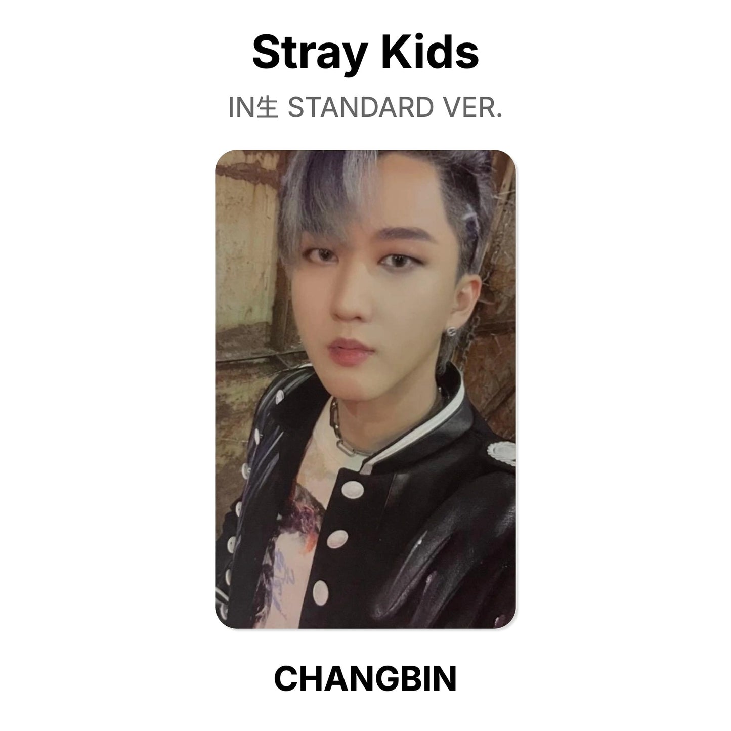 Stray Kids IN生 STANDARD VER. Official Photocard