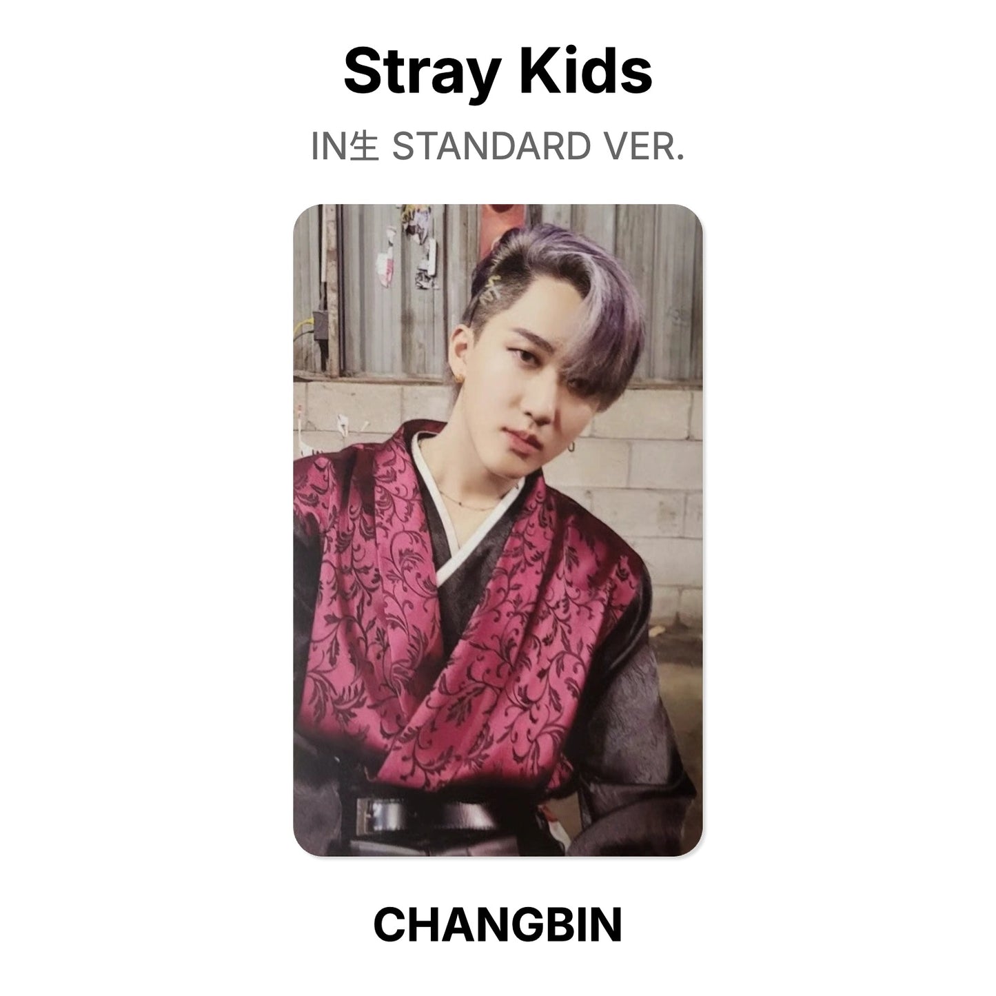 Stray Kids IN生 STANDARD VER. Official Photocard